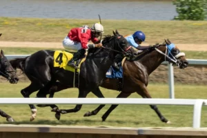 Two horses in a race with a photo finish.